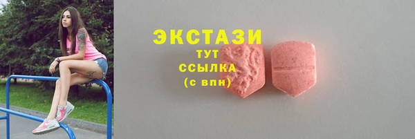 ECSTASY Тайга