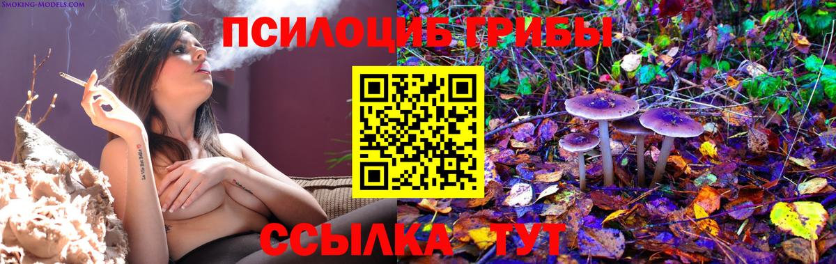 Галлюциногенные грибы прущие грибы  Вход с VPN  Псилоцибиновые грибы MAGIC MUSHROOMS  Балтийск 