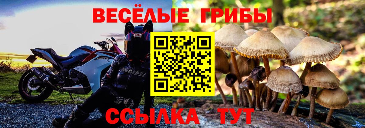 Галлюциногенные грибы мухоморы Балтийск